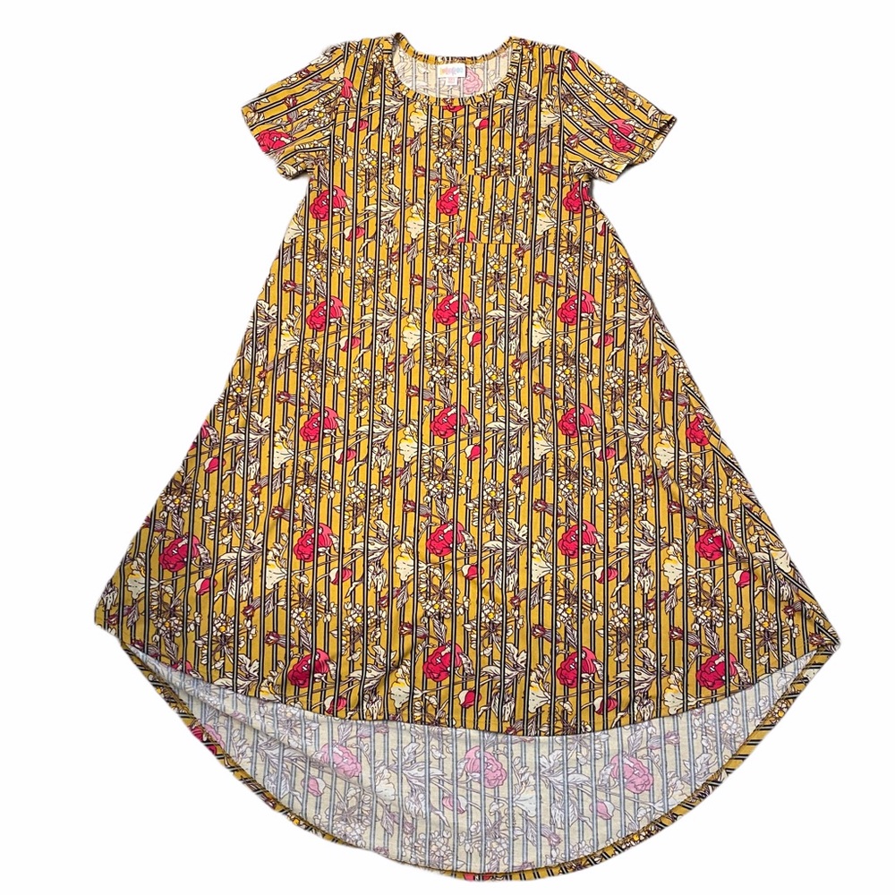 Lularoe Floral and Stripes Carly Dress